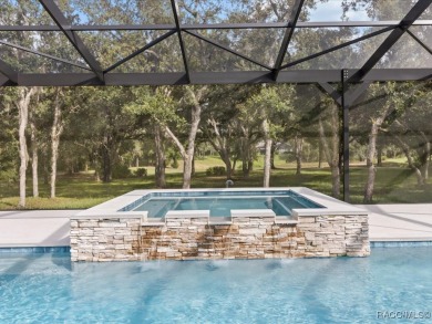 Luxury, efficiency, and elegance converge in this 2022 on Black Diamond Ranch Golf Course in Florida - for sale on GolfHomes.com, golf home, golf lot