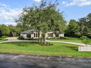 Luxury, efficiency, and elegance converge in this 2022 on Black Diamond Ranch Golf Course in Florida - for sale on GolfHomes.com, golf home, golf lot