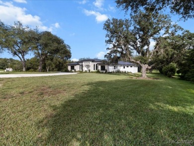 Luxury, efficiency, and elegance converge in this 2022 on Black Diamond Ranch Golf Course in Florida - for sale on GolfHomes.com, golf home, golf lot