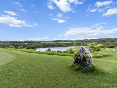 Luxury, efficiency, and elegance converge in this 2022 on Black Diamond Ranch Golf Course in Florida - for sale on GolfHomes.com, golf home, golf lot