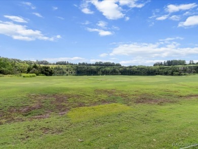 Luxury, efficiency, and elegance converge in this 2022 on Black Diamond Ranch Golf Course in Florida - for sale on GolfHomes.com, golf home, golf lot