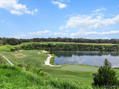 Luxury, efficiency, and elegance converge in this 2022 on Black Diamond Ranch Golf Course in Florida - for sale on GolfHomes.com, golf home, golf lot