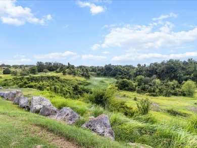 Luxury, efficiency, and elegance converge in this 2022 on Black Diamond Ranch Golf Course in Florida - for sale on GolfHomes.com, golf home, golf lot