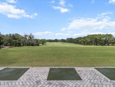 Luxury, efficiency, and elegance converge in this 2022 on Black Diamond Ranch Golf Course in Florida - for sale on GolfHomes.com, golf home, golf lot