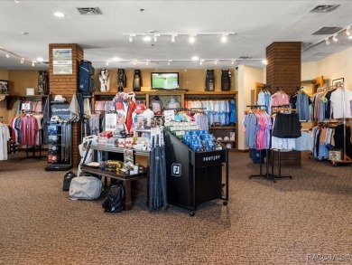 Luxury, efficiency, and elegance converge in this 2022 on Black Diamond Ranch Golf Course in Florida - for sale on GolfHomes.com, golf home, golf lot