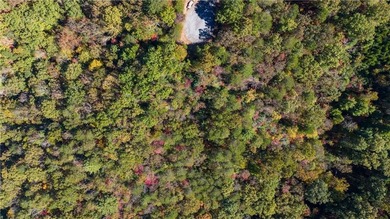 Build Your Dream Home with Majestic Mountain Views in Achasta!

 on Achasta Golf Club in Georgia - for sale on GolfHomes.com, golf home, golf lot