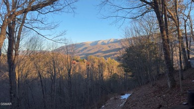 Escape to the Smokies with this beautifully maintained 2-bedroom on Bent Creek Golf Course in Tennessee - for sale on GolfHomes.com, golf home, golf lot