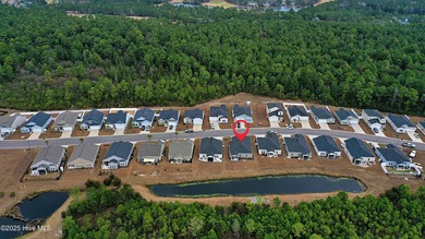 Do you want a 4-bedroom home at a GREAT PRICE, on a tranquil on Ocean Ridge Plantation in North Carolina - for sale on GolfHomes.com, golf home, golf lot