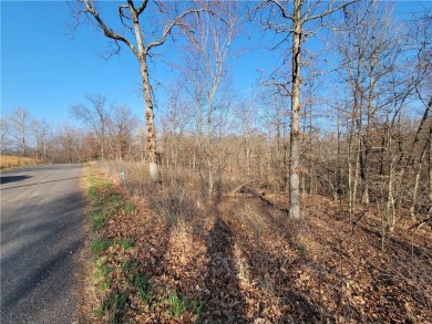 This lot has just a mild slope on the front half and would make on Branchwood Golf Course in Arkansas - for sale on GolfHomes.com, golf home, golf lot