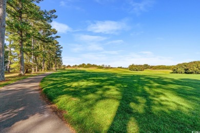 Don't Miss this never-ending view of the golf course from this on Man O War Golf Links in South Carolina - for sale on GolfHomes.com, golf home, golf lot