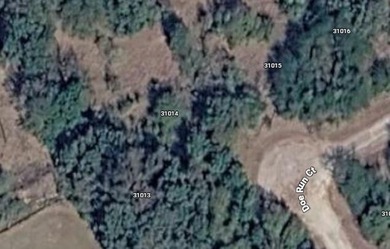 Build your dream getaway inside the highly sought-after White on White Bluff Resort - New Course in Texas - for sale on GolfHomes.com, golf home, golf lot