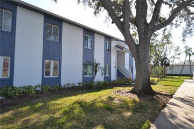 SELLER IS MOTIVATED!!! SELLER WILL COVER 3 MONTHS WORTH OF HOA on East Lake Woodlands Country Club in Florida - for sale on GolfHomes.com, golf home, golf lot