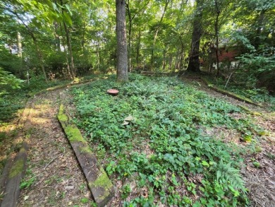 Location, Location, Location! Walk from your back yard  or drive on Bella Vista Country Club - Berksdale in Arkansas - for sale on GolfHomes.com, golf home, golf lot