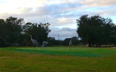 One or more photo(s) has been virtually staged. This highly on Ridgewood Lakes Golf and Country Club in Florida - for sale on GolfHomes.com, golf home, golf lot