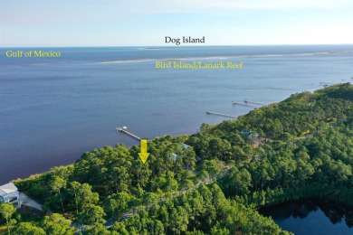 Welcome to your slice of paradise on Florida's Forgotten Coast! on St. James Bay in Florida - for sale on GolfHomes.com, golf home, golf lot