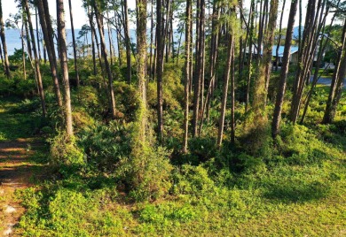 Welcome to your slice of paradise on Florida's Forgotten Coast! on St. James Bay in Florida - for sale on GolfHomes.com, golf home, golf lot