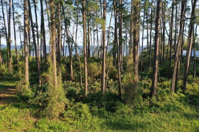 Welcome to your slice of paradise on Florida's Forgotten Coast! on St. James Bay in Florida - for sale on GolfHomes.com, golf home, golf lot