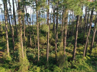 Welcome to your slice of paradise on Florida's Forgotten Coast! on St. James Bay in Florida - for sale on GolfHomes.com, golf home, golf lot