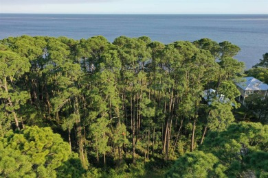 Welcome to your slice of paradise on Florida's Forgotten Coast! on St. James Bay in Florida - for sale on GolfHomes.com, golf home, golf lot