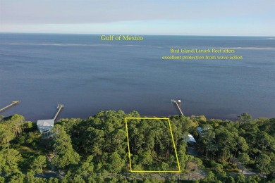 Welcome to your slice of paradise on Florida's Forgotten Coast! on St. James Bay in Florida - for sale on GolfHomes.com, golf home, golf lot