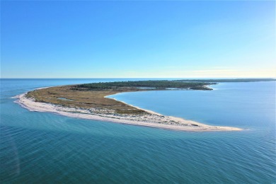 Welcome to your slice of paradise on Florida's Forgotten Coast! on St. James Bay in Florida - for sale on GolfHomes.com, golf home, golf lot