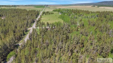 Beautiful 3-acre wooded lot located just off Cave Falls Road on Timberline Golf Course in Idaho - for sale on GolfHomes.com, golf home, golf lot
