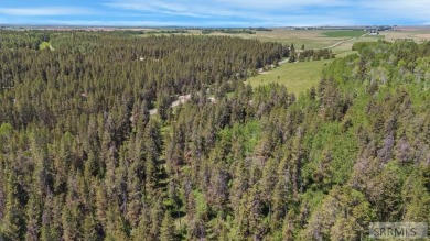 Beautiful 3-acre wooded lot located just off Cave Falls Road on Timberline Golf Course in Idaho - for sale on GolfHomes.com, golf home, golf lot