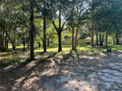 Come see what *Bluff Life* is all about! This homesite is over on Sapelo Hammock Golf Club in Georgia - for sale on GolfHomes.com, golf home, golf lot