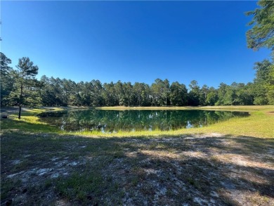 Come see what *Bluff Life* is all about! This homesite is over on Sapelo Hammock Golf Club in Georgia - for sale on GolfHomes.com, golf home, golf lot