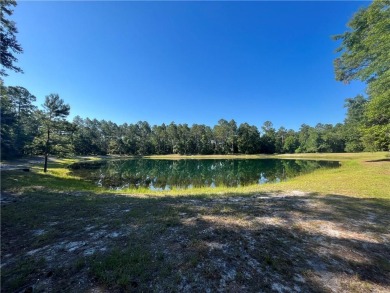 Come see what *Bluff Life* is all about! This homesite is over on Sapelo Hammock Golf Club in Georgia - for sale on GolfHomes.com, golf home, golf lot