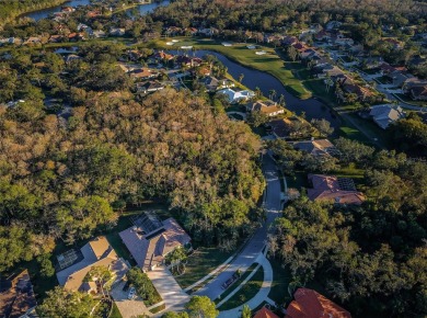 Under contract-accepting backup offers. A stunning ensemble of on Tarpon Woods Golf Club in Florida - for sale on GolfHomes.com, golf home, golf lot