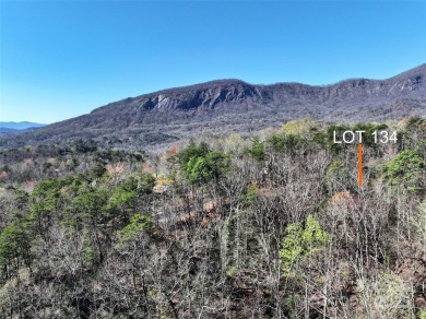 An exceptional opportunity for investors or vacationers seeking on Rumbling Bald Resort on Lake Lure in North Carolina - for sale on GolfHomes.com, golf home, golf lot