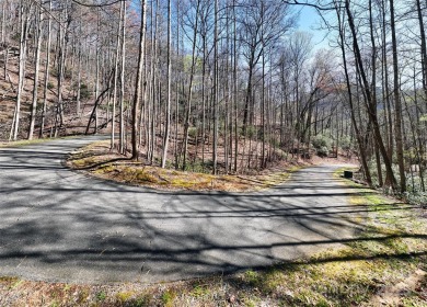 An exceptional opportunity for investors or vacationers seeking on Rumbling Bald Resort on Lake Lure in North Carolina - for sale on GolfHomes.com, golf home, golf lot
