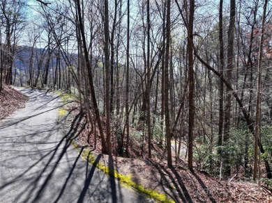 An exceptional opportunity for investors or vacationers seeking on Rumbling Bald Resort on Lake Lure in North Carolina - for sale on GolfHomes.com, golf home, golf lot