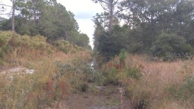 What a beautiful property to build your dream home. Two on Indian Lake Estates Golf and Country Club in Florida - for sale on GolfHomes.com, golf home, golf lot