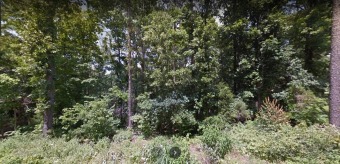 Beautiful lot in Bella Vista. This .31-acre Lot is located just on Bella Vista Country Club - Berksdale in Arkansas - for sale on GolfHomes.com, golf home, golf lot