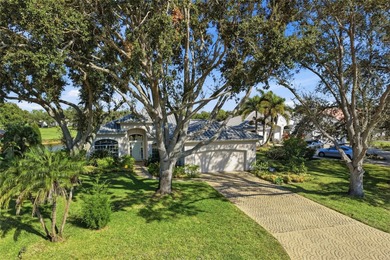 New on the market with a BRAND NEW ROOF, no CDD fee, and not in on The Meadows Golf and Country Club in Florida - for sale on GolfHomes.com, golf home, golf lot
