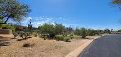 Gorgeous CORNER LOT offers you the perfect location to build on Troon North Golf Club  in Arizona - for sale on GolfHomes.com, golf home, golf lot