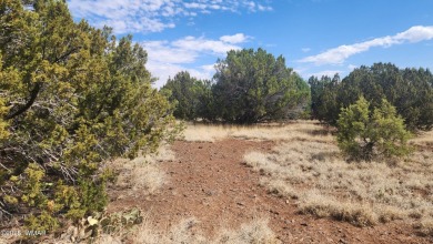 Privileges to White Mountain Lake come with this .2 acre on Silver Creek Golf Club in Arizona - for sale on GolfHomes.com, golf home, golf lot