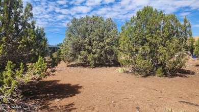 Privileges to White Mountain Lake come with this .2 acre on Silver Creek Golf Club in Arizona - for sale on GolfHomes.com, golf home, golf lot