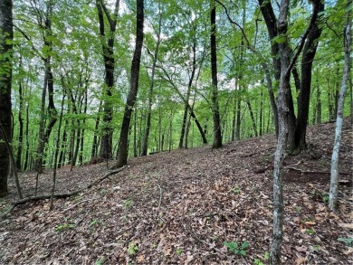 Buildable Lot in Beautiful Big Canoe  Priced to Sell!Heres your on Big Canoe Golf Club - Cherokee in Georgia - for sale on GolfHomes.com, golf home, golf lot