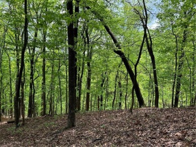 Buildable Lot in Beautiful Big Canoe  Priced to Sell!Heres your on Big Canoe Golf Club - Cherokee in Georgia - for sale on GolfHomes.com, golf home, golf lot