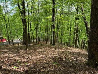 Buildable Lot in Beautiful Big Canoe  Priced to Sell!Heres your on Big Canoe Golf Club - Cherokee in Georgia - for sale on GolfHomes.com, golf home, golf lot