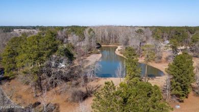 Discover the charm of the 1830 floor plan by Adams Homes on River Landing Golf Course in North Carolina - for sale on GolfHomes.com, golf home, golf lot