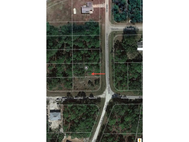 Easy access to US 41 and I-75. Quiet country-like setting but on Seminole Lakes Country Club in Florida - for sale on GolfHomes.com, golf home, golf lot