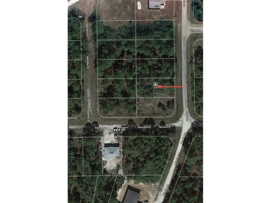 Easy access to US 41 and I-75. Quiet country-like setting but on Seminole Lakes Country Club in Florida - for sale on GolfHomes.com, golf home, golf lot