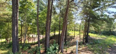 Welcome to 915 N Edgewater Trail-an exceptional homesite in the on Currahee Golf Club in Georgia - for sale on GolfHomes.com, golf home, golf lot