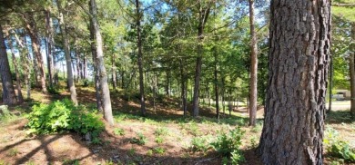 Welcome to 915 N Edgewater Trail-an exceptional homesite in the on Currahee Golf Club in Georgia - for sale on GolfHomes.com, golf home, golf lot