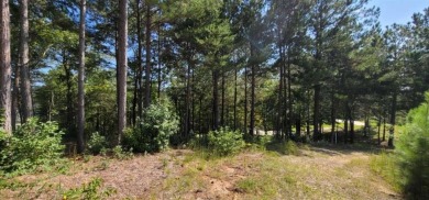 Welcome to 915 N Edgewater Trail-an exceptional homesite in the on Currahee Golf Club in Georgia - for sale on GolfHomes.com, golf home, golf lot