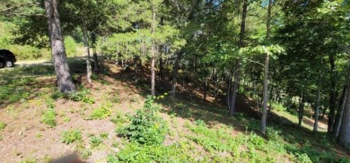 Welcome to 915 N Edgewater Trail-an exceptional homesite in the on Currahee Golf Club in Georgia - for sale on GolfHomes.com, golf home, golf lot